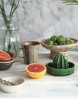 Cactus Juicer