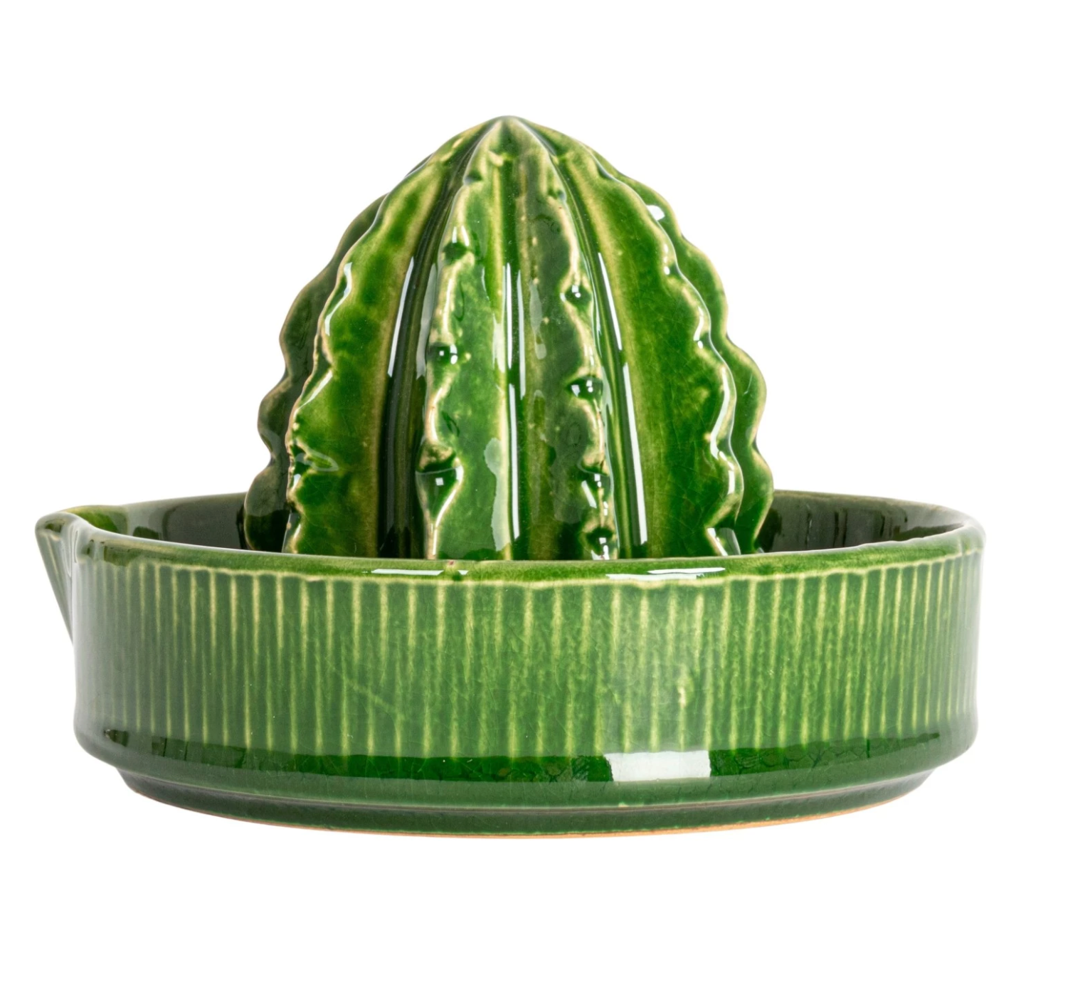 Cactus Juicer
