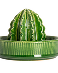 Cactus Juicer