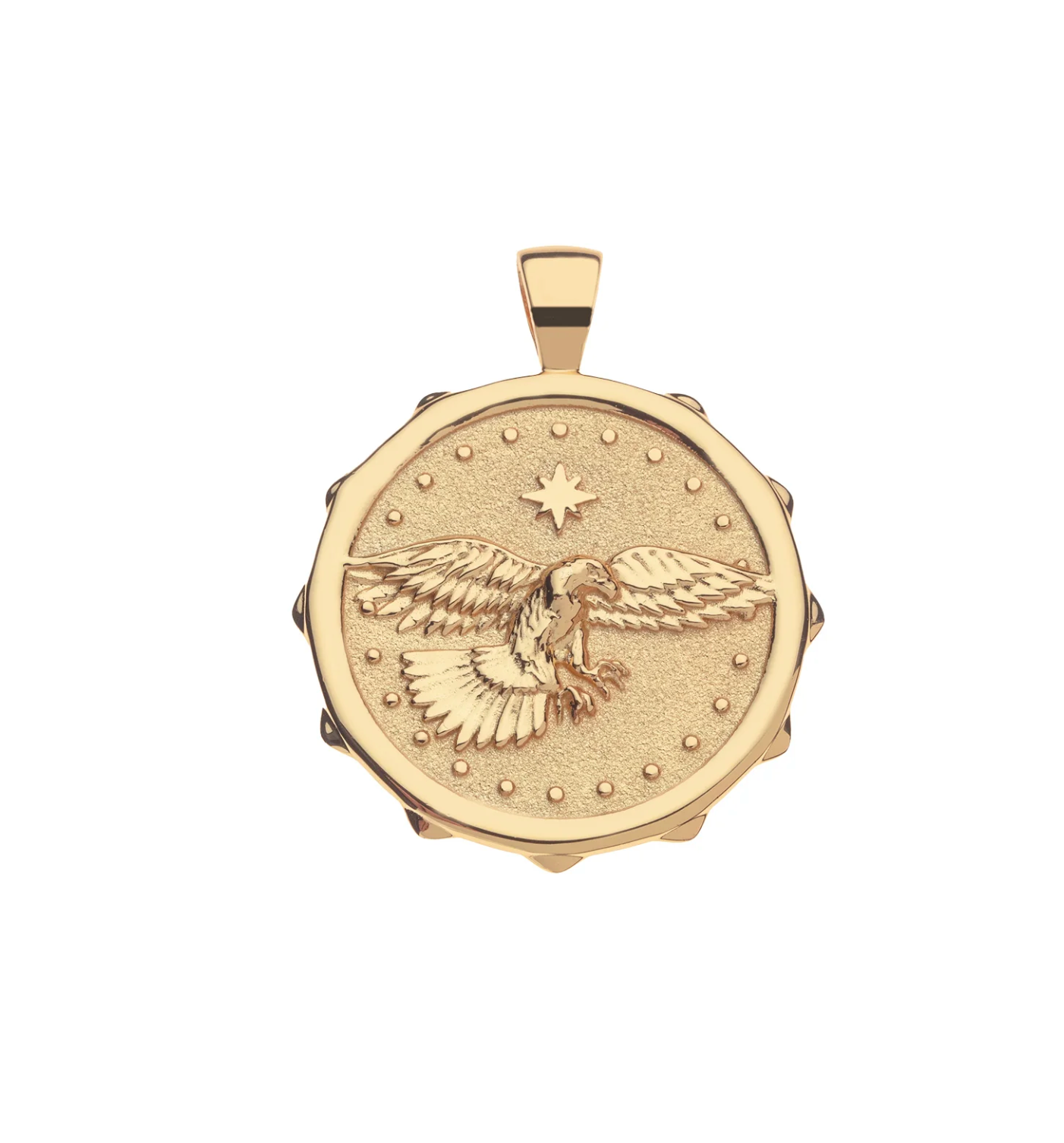 JANE WIN PROTECT Eagle Pendant Coin W/ 18" Drawn Link Chain