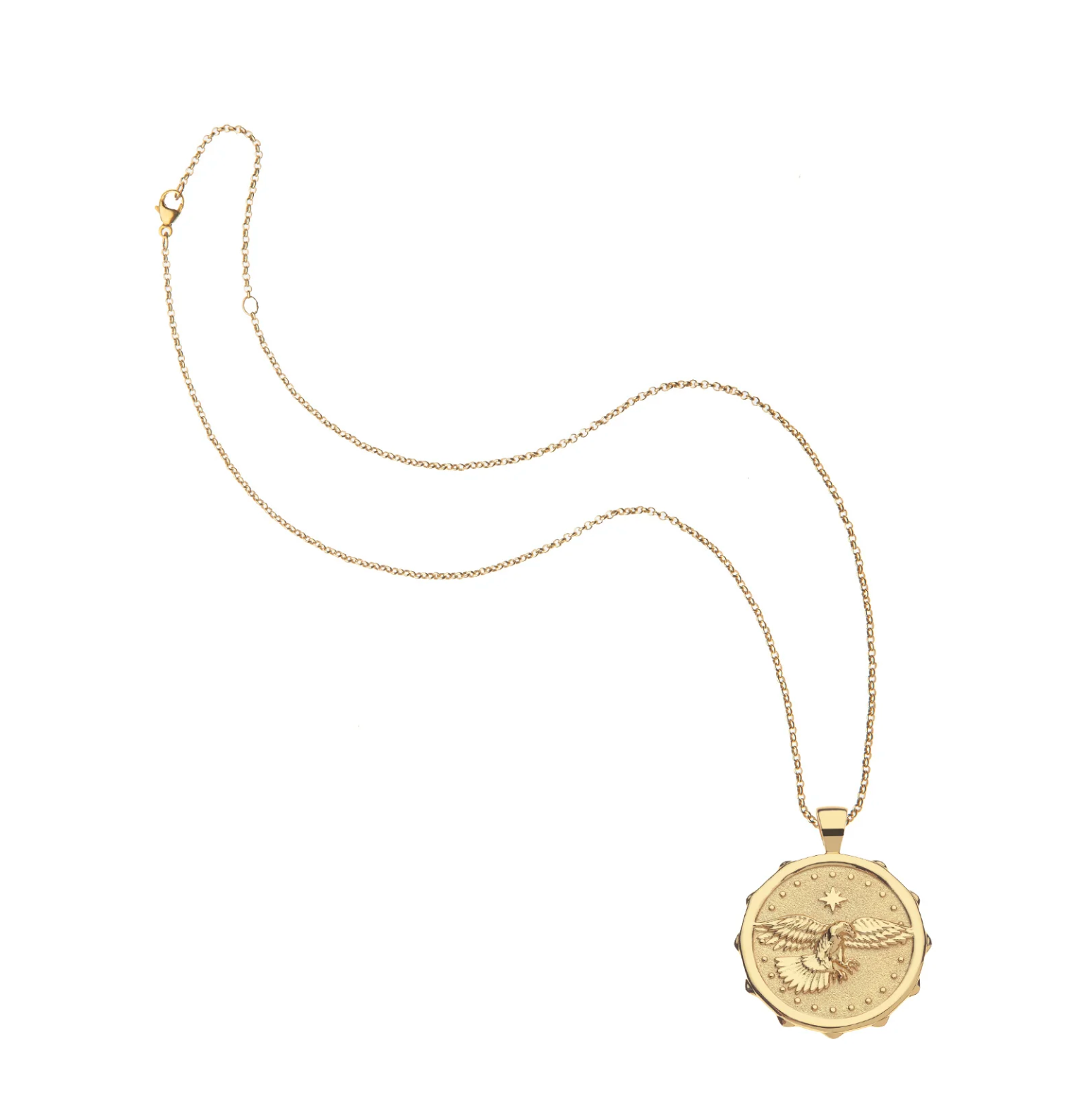JANE WIN PROTECT Eagle Pendant Coin W/ 18" Drawn Link Chain