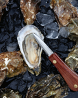 Oysters