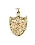 JANE WIN PROTECT Shield Pendant w/ 16-18" Classic Rolo Chain