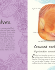 Anthology Shells