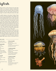 Oceanarium