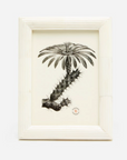 PIGEON AND POODLE Velden Frame Collection