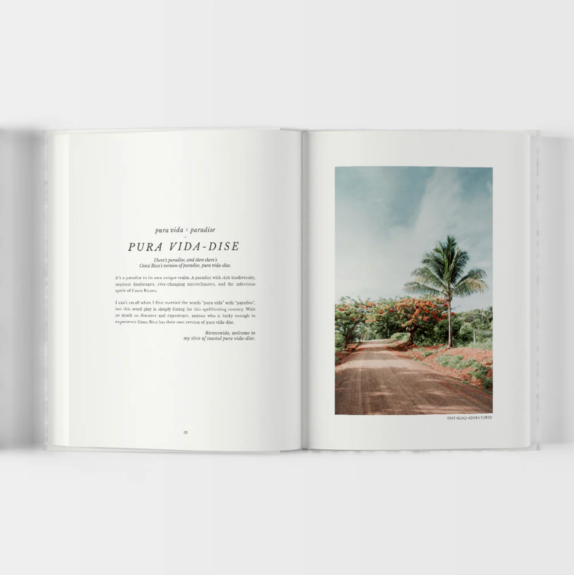 Slice Of Pura Vida-Dise
