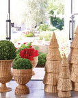 Rattan Bow Tree Small 24"