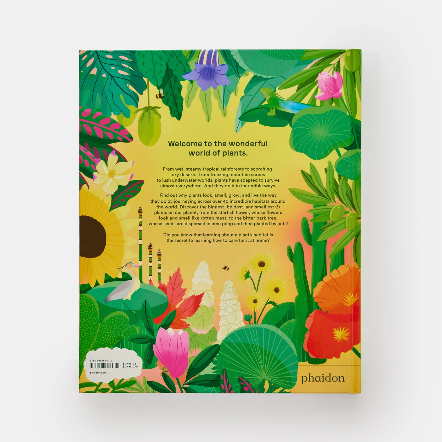 A HOME FOR EVERY PLANT