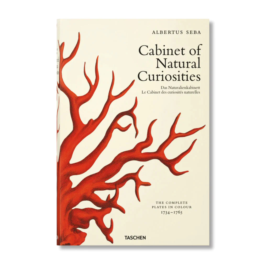 Cabinet of Natural Curiosities Large