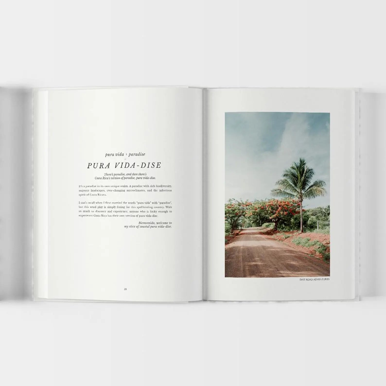 Slice Of Pura Vida-Dise