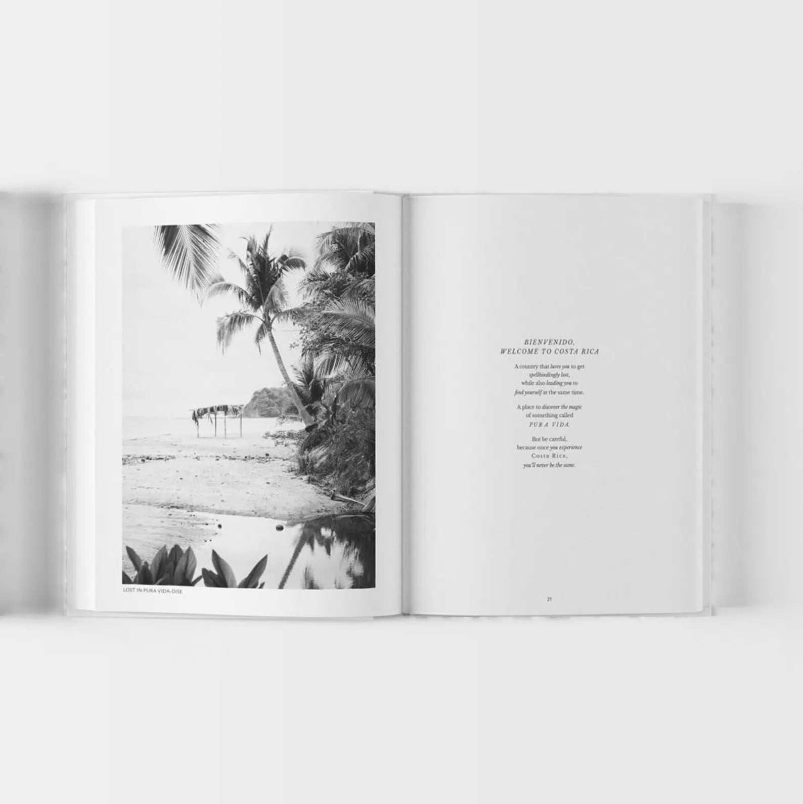 Slice Of Pura Vida-Dise