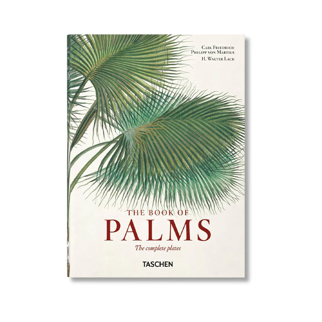 The Book of Palms Large