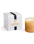 LAFCO Veranda-Paloma Melon