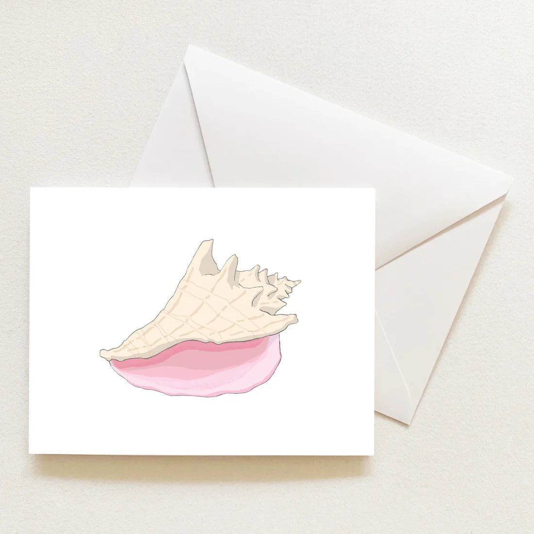 SARA FITZ Conch Shell Boxed Note Cards