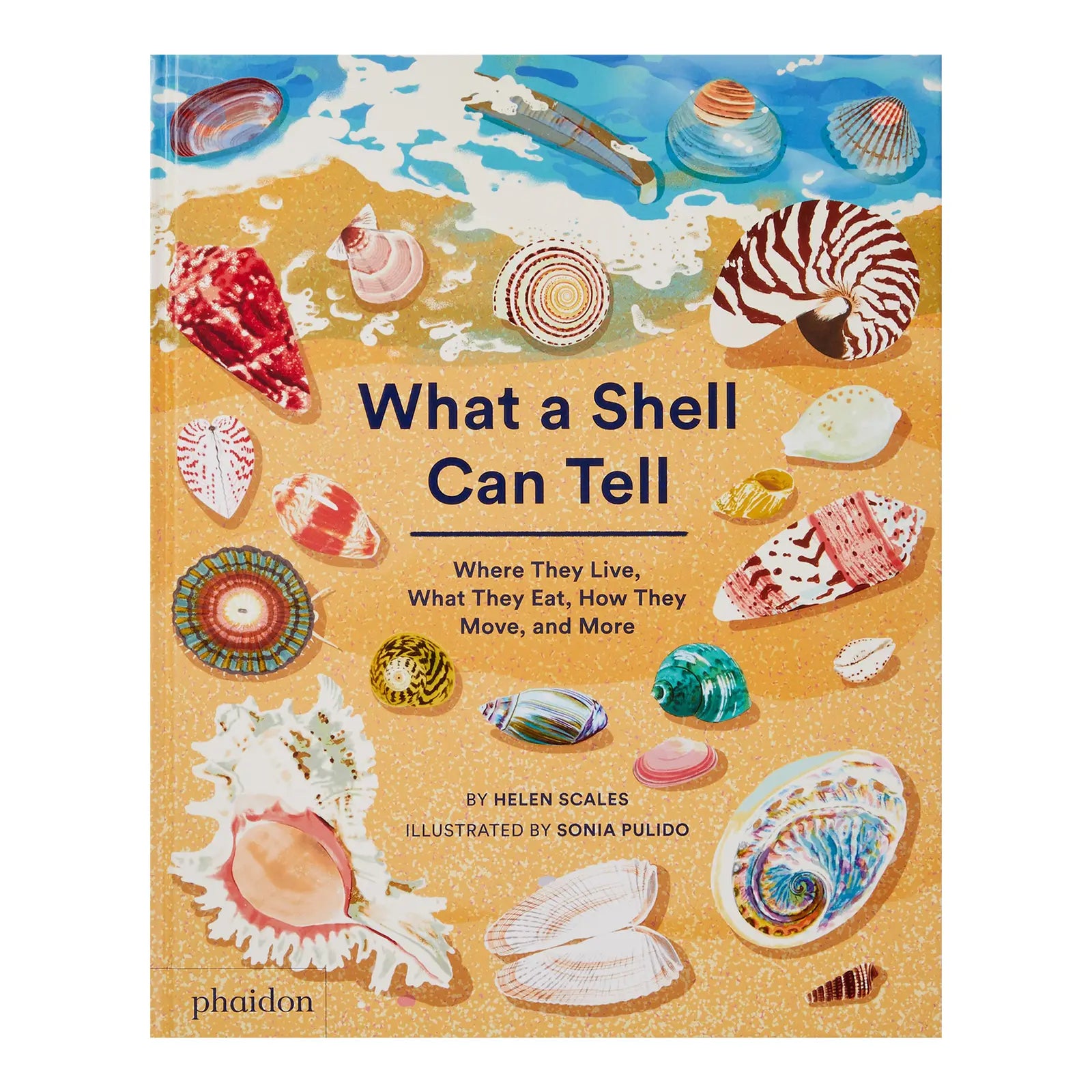 What A Shell Can Tell