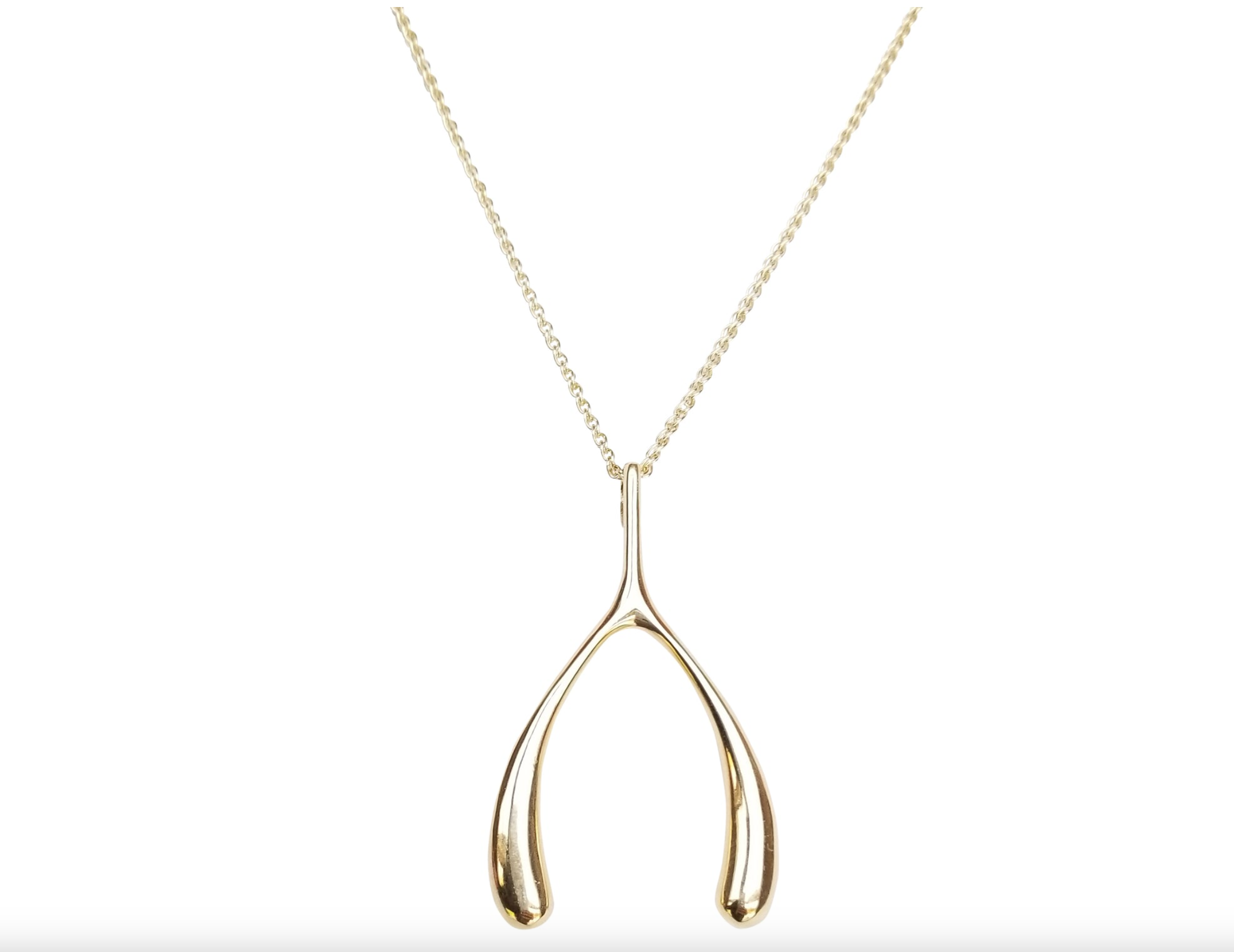 JANE WIN Lucky Gold Wishbone Pendant with 18'-20' Delicate Chain