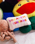 You Are My Sunshine Mini Needlepoint Pillow