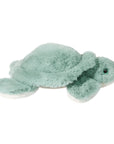 Jade Sea Turtle