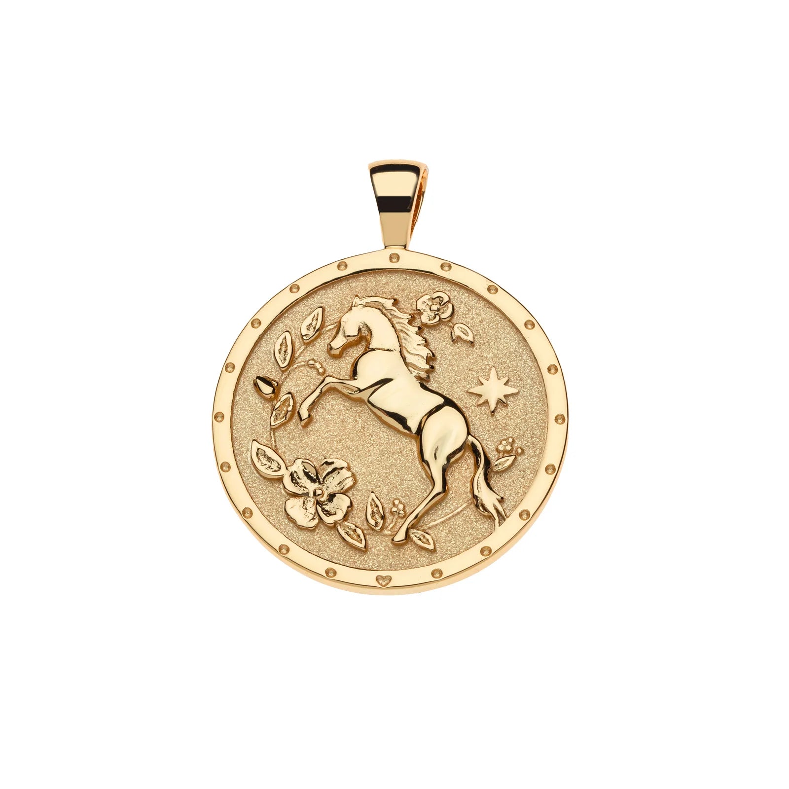 JANE WIN Courage Year of the Horse Original Coin on Drawn Link Chain
