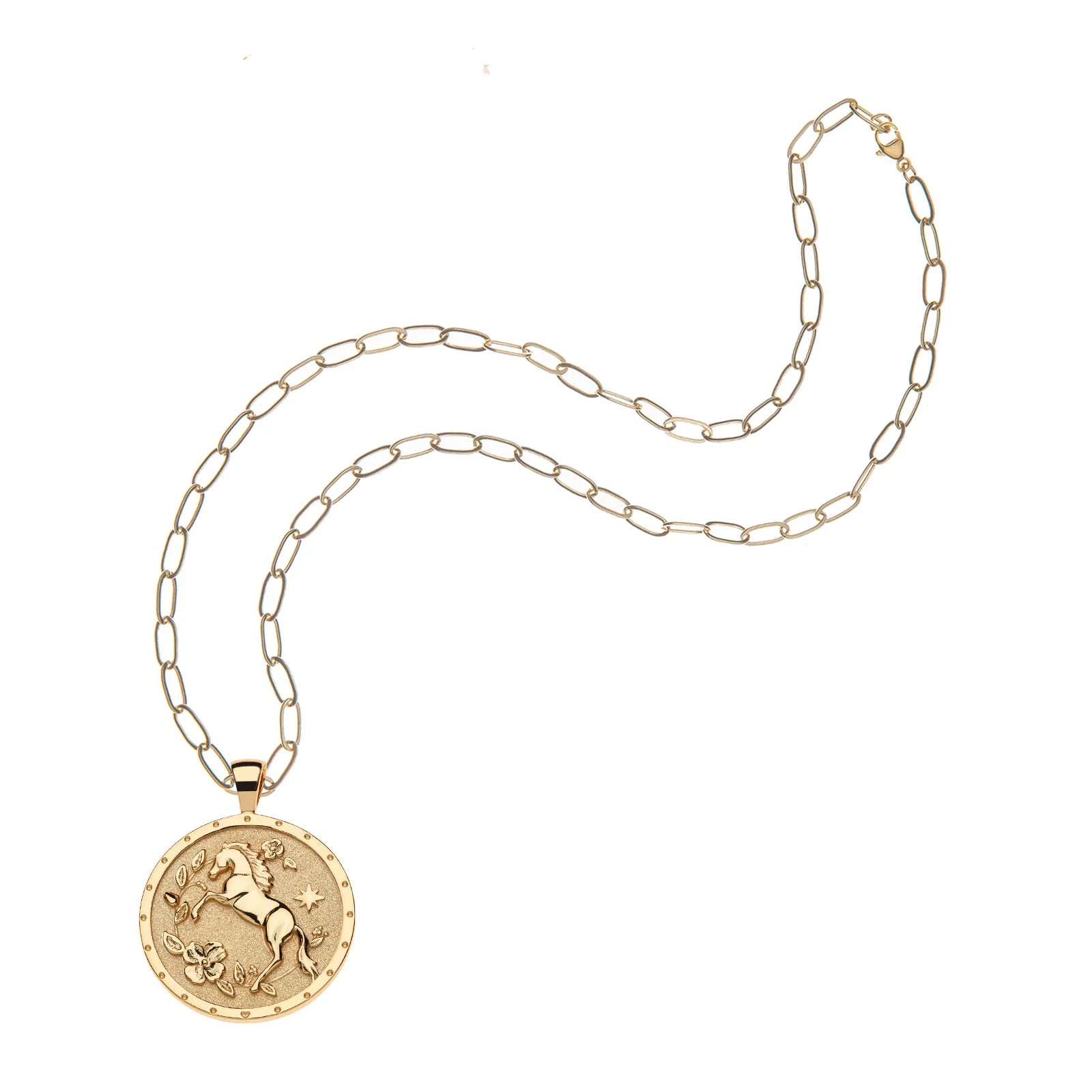 JANE WIN Courage Year of the Horse Original Coin on Drawn Link Chain