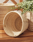 Cane Rattan Mini Round Baskets, Set/3