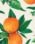 Orange Orchard Cocktail Napkins Set/20