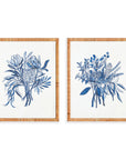 Banksia Bouquet Prints, Set/2