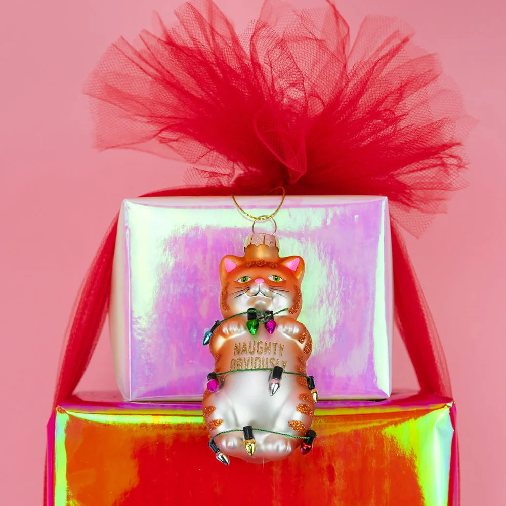 Naughty Obviously- Funny Cat Ornament