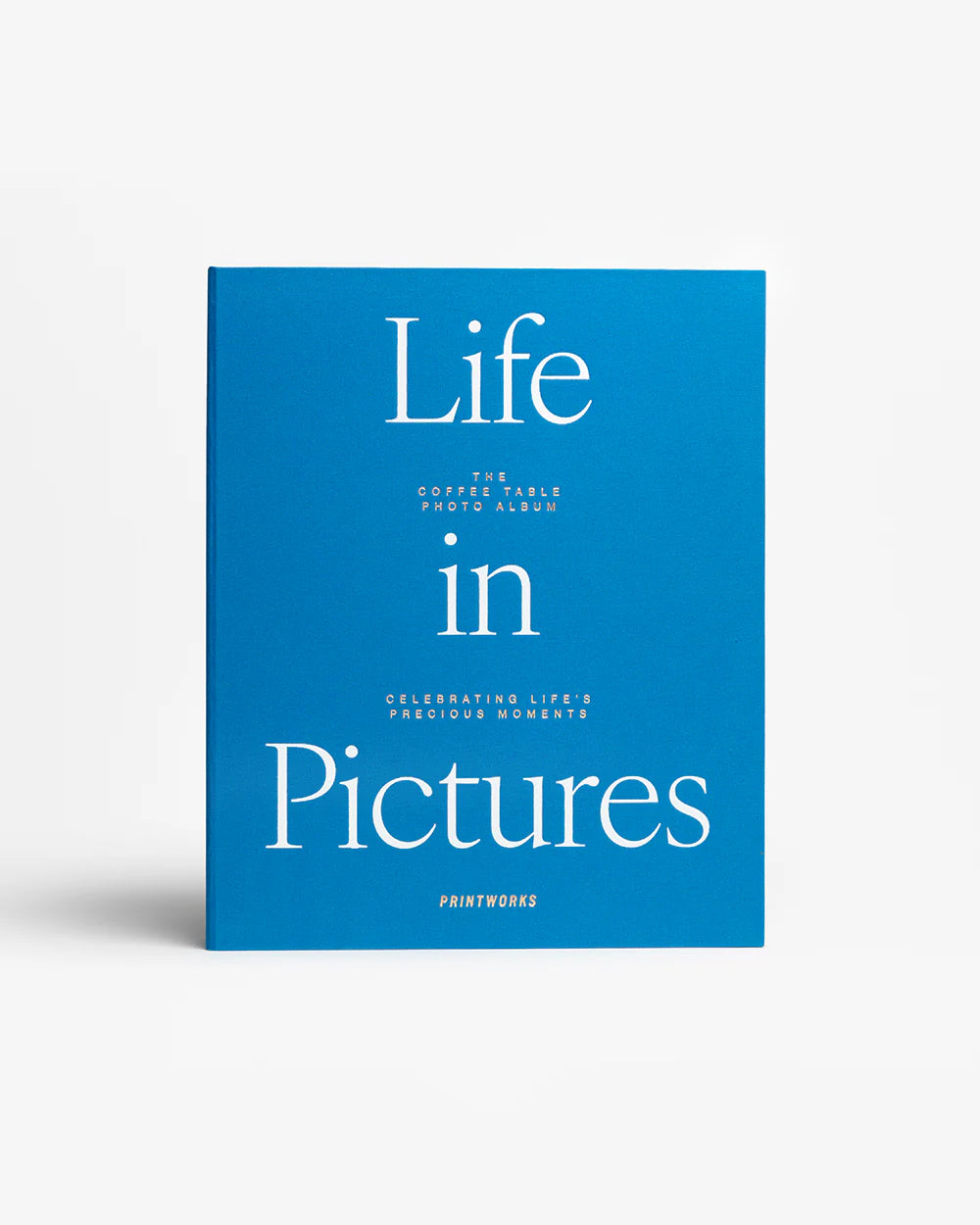PRINTWORKS Life in Pictures Photo Album