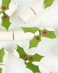 Holly Christmas Crackers