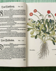 Leonhart Fuchs: The New Herbal