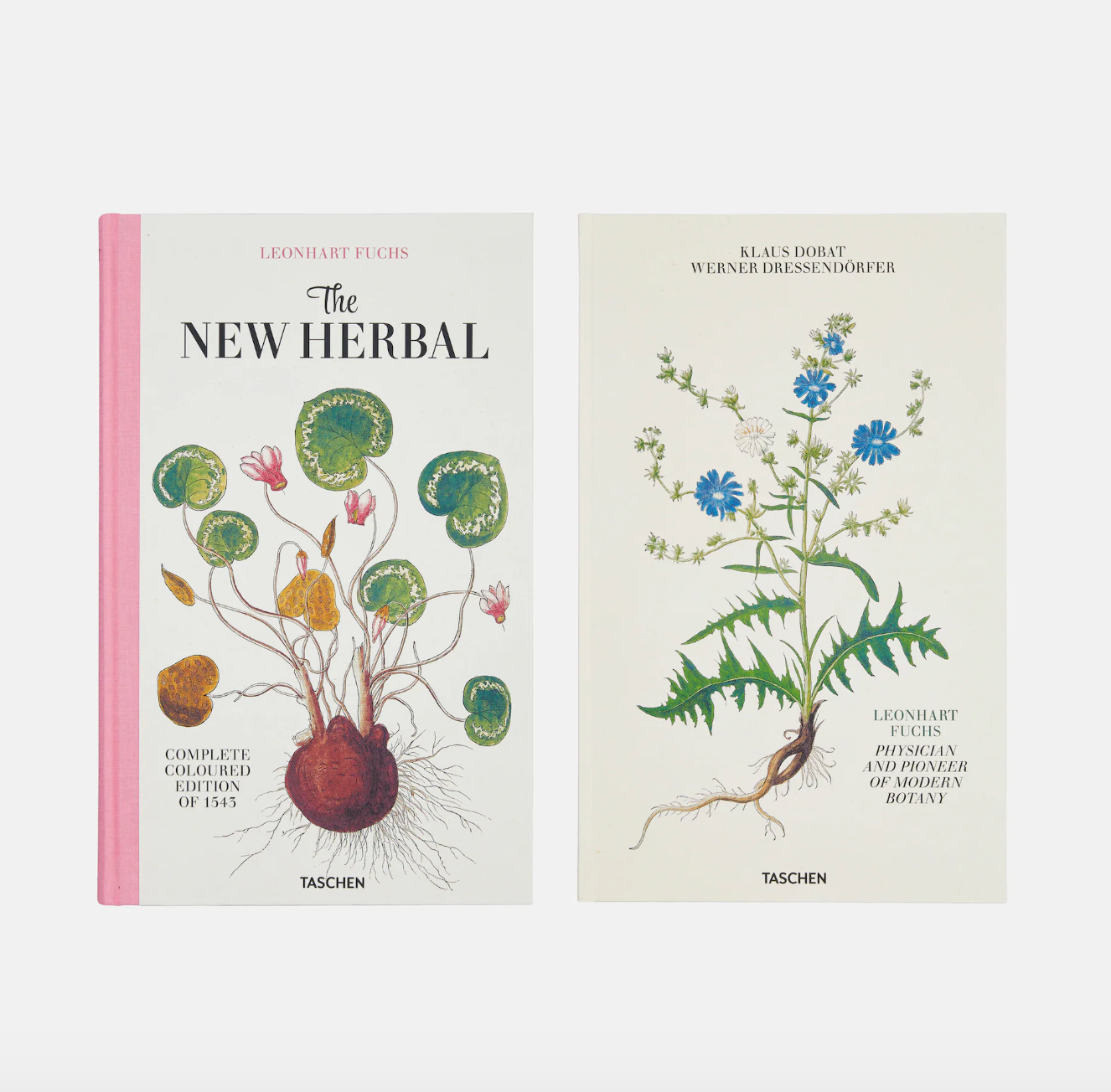 The Encyclopedia of Herbal Medicine