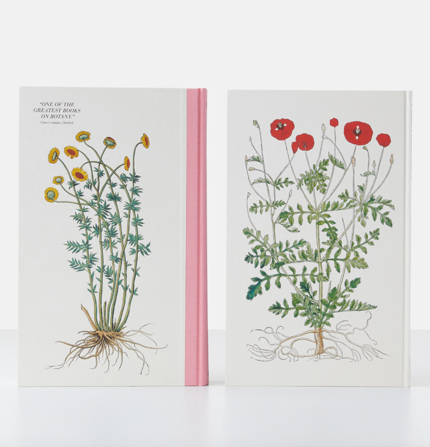 The Encyclopedia of Herbal Medicine