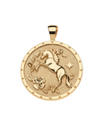 JANE WIN COURAGE Year Of The Horse Pendant Coin w/ 18" Grande Rolo Chain