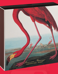 American Flamingo Matches