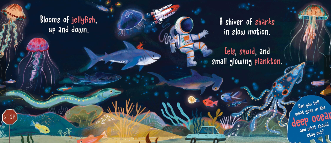 What Goes In The Ocean
