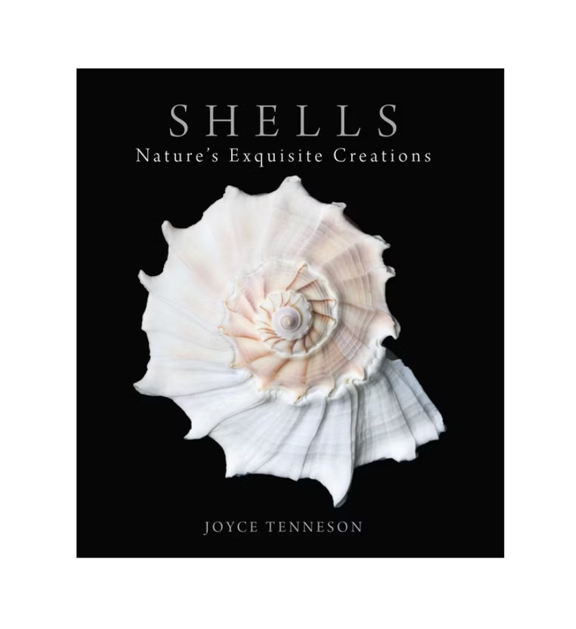 Shells