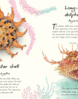 Anthology Shells