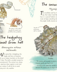 Anthology Shells