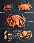 Essential Shellfish