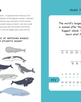 Fun With Oceans and Seas