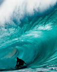 Surfer Magazine