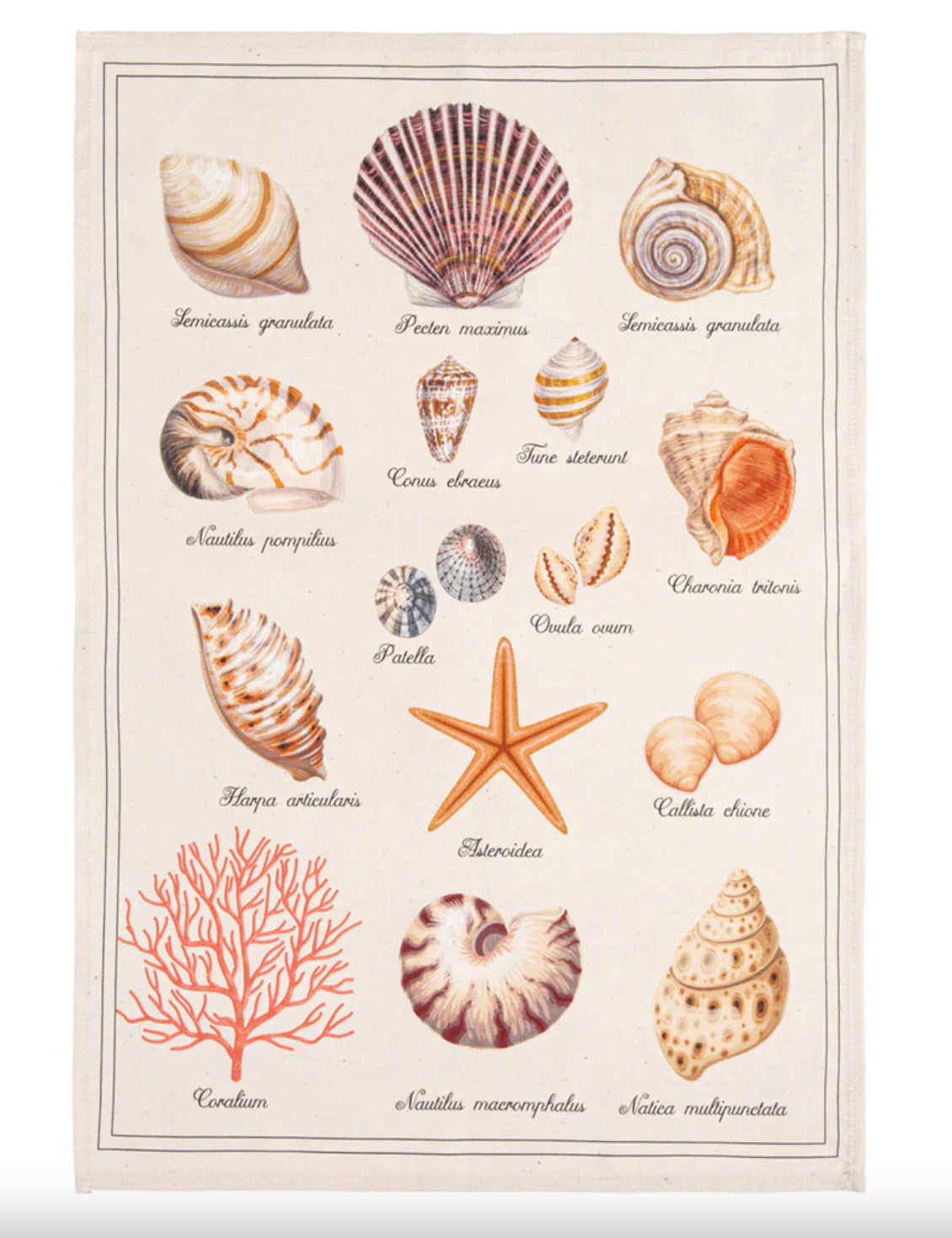 Treasure of The Sea Tea Towel