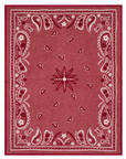 ChappyWrap  Vintage Bandana
