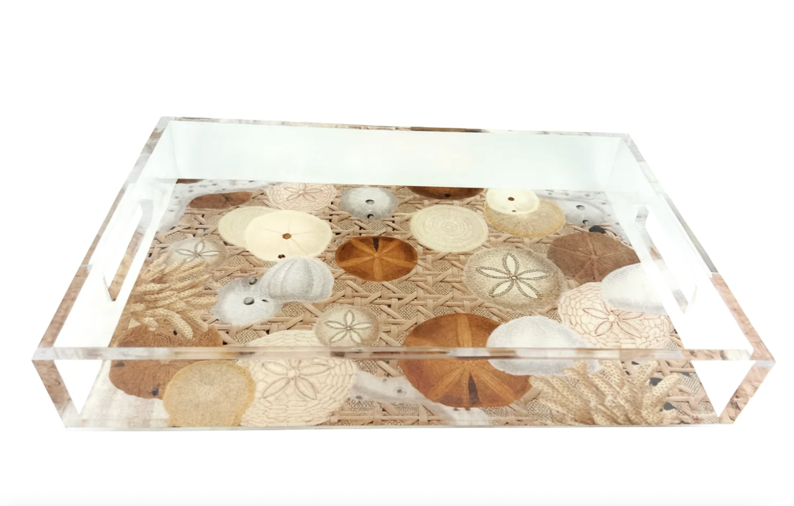 Sand Dollar Acrylic Vanity Tray
