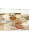 Sand Dollar Acrylic Vanity Tray