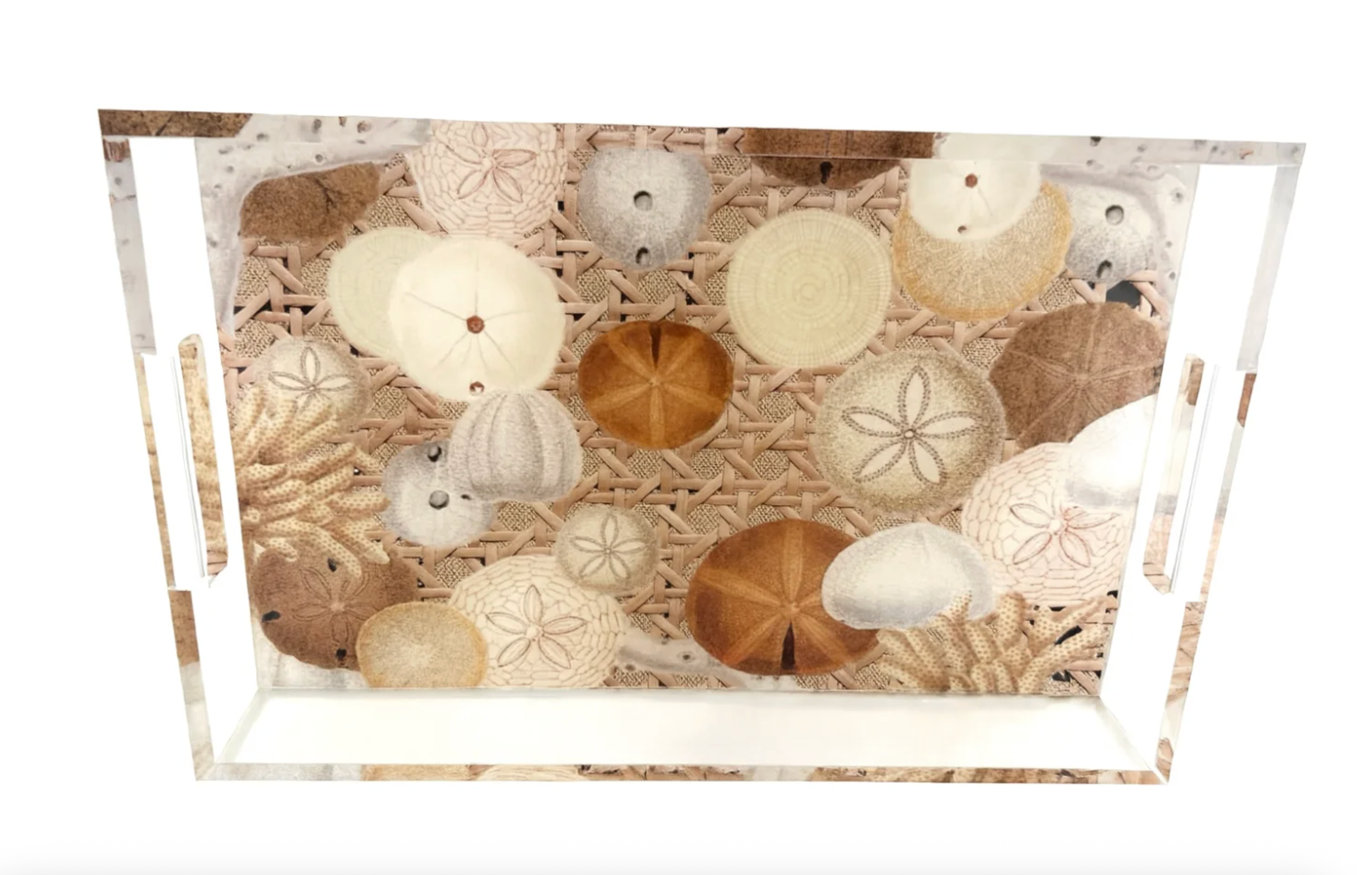 Sand Dollar Acrylic Vanity Tray