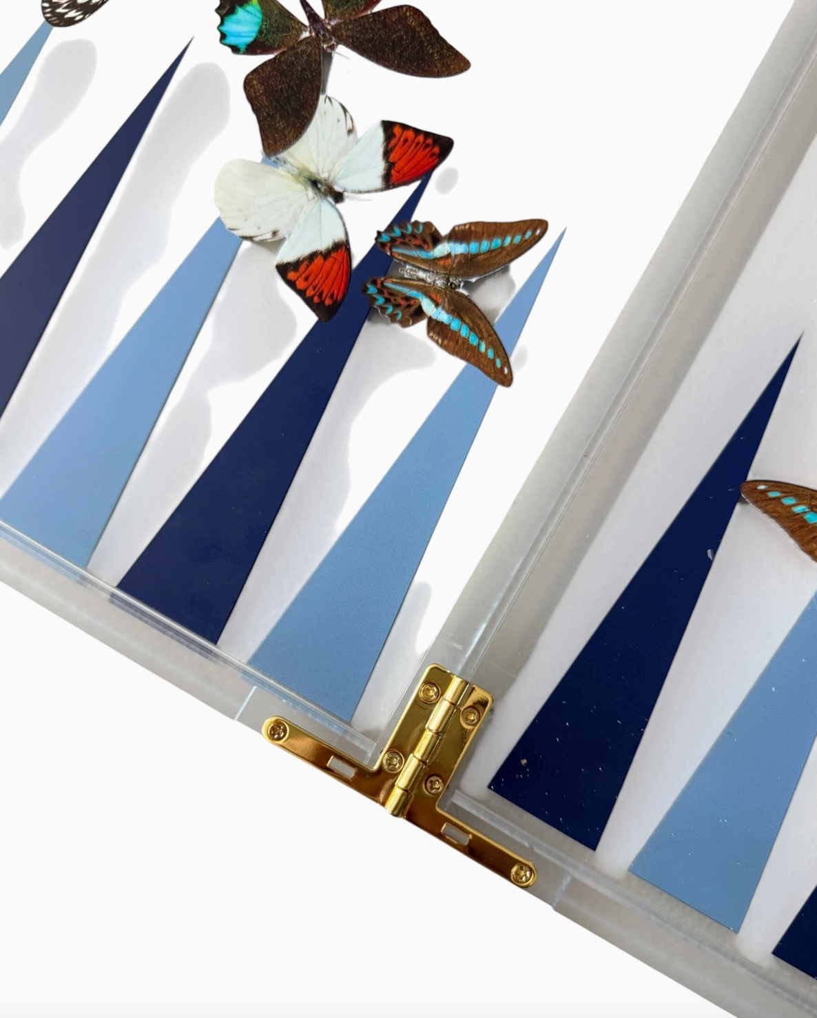Butterfly Backgammon Game