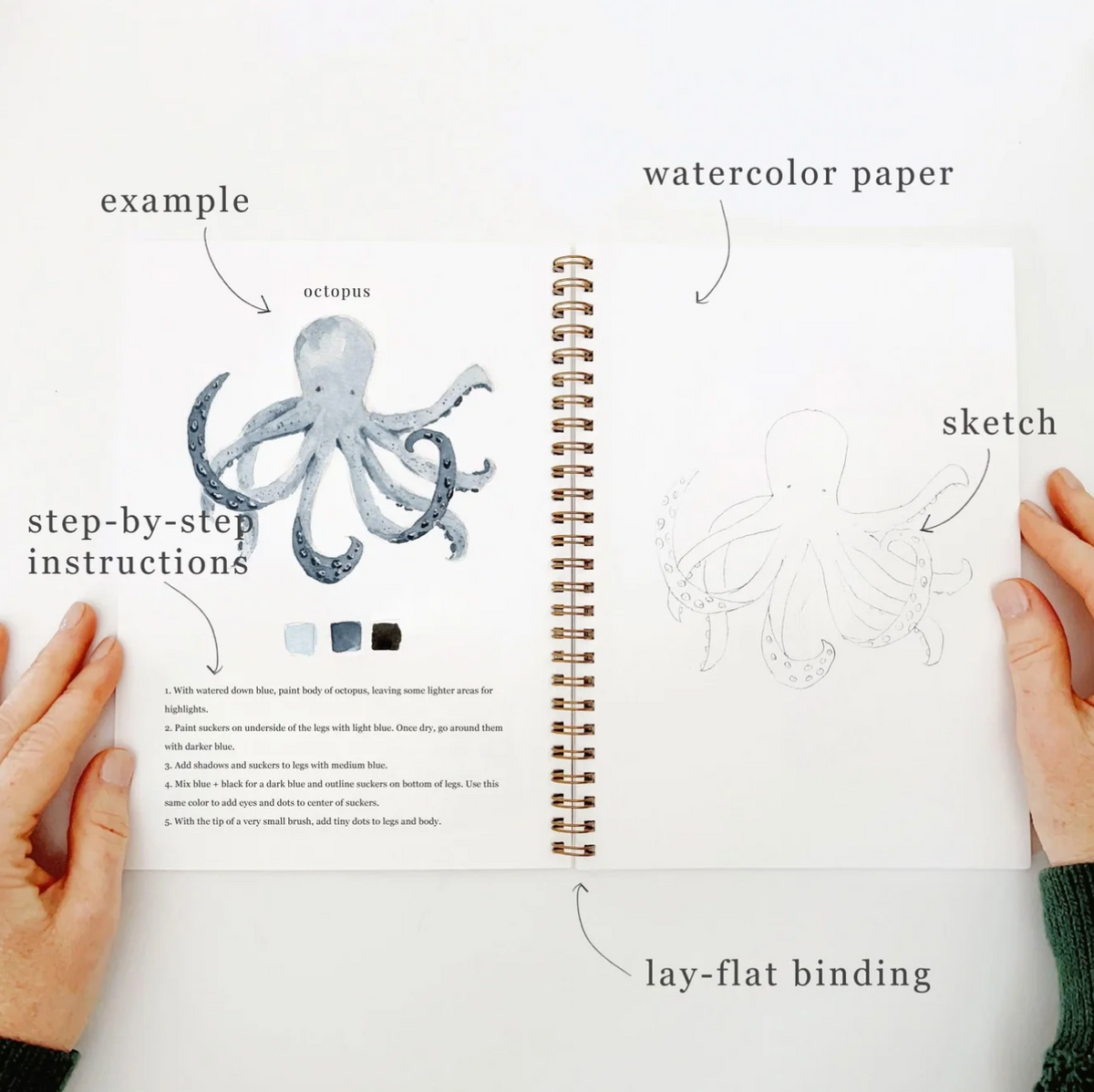 Seaside Watercolor Workbook